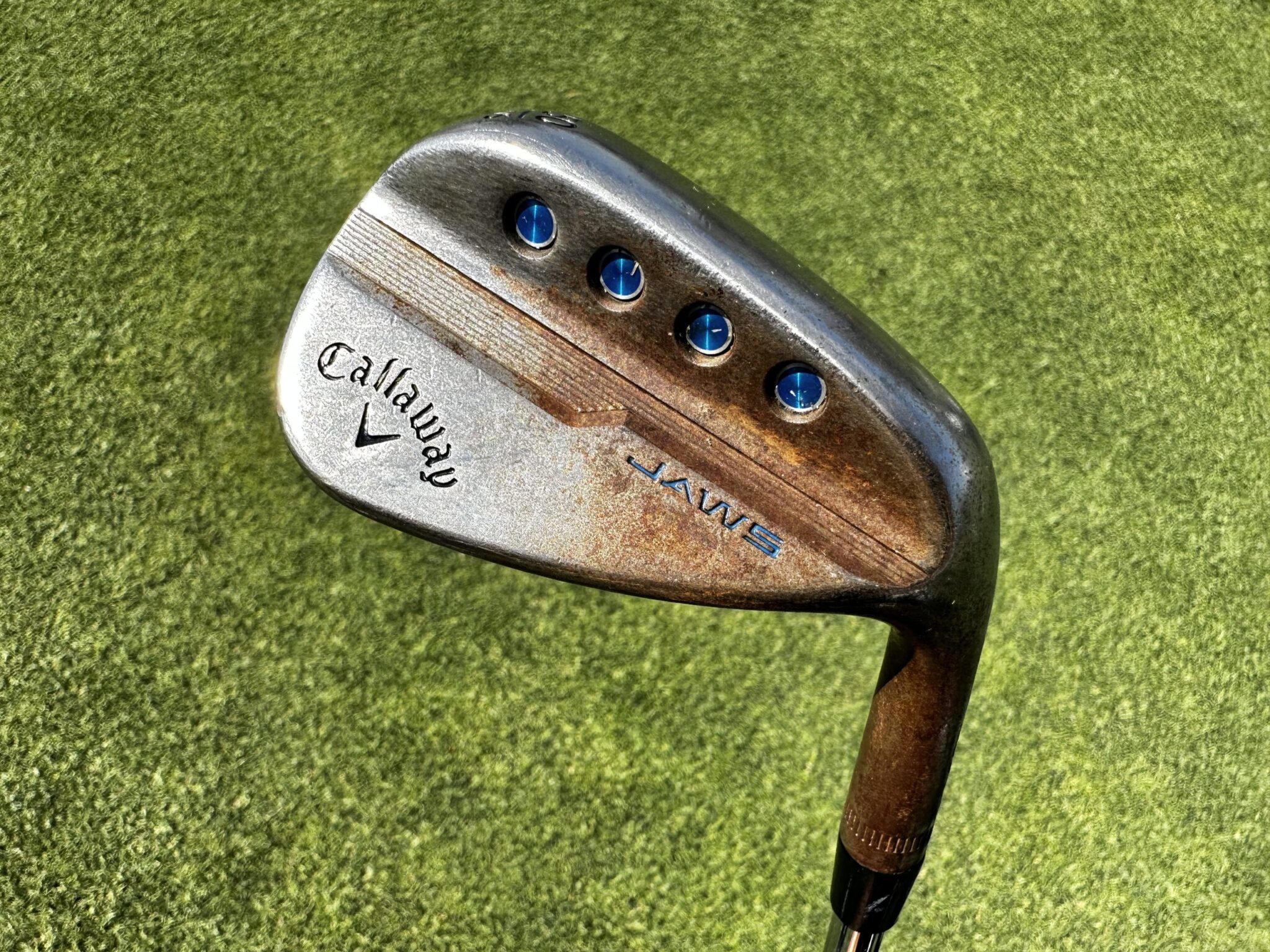 Min Woo Lee: WITB Photo Gallery (2023 AIP) - World of Wunder